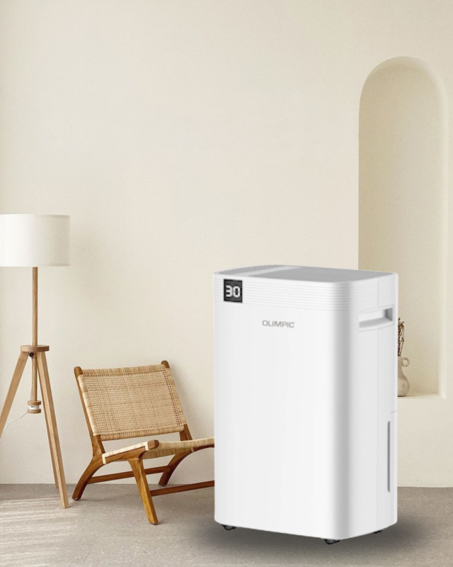 The Top Advantages of Using a Dehumidifier in Your Home